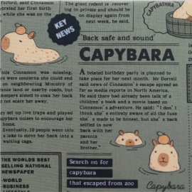 │新色上市│幸福手工記事《水豚君NEWS》細節 │新色上市│幸福手工記事《水豚君NEWS》細節